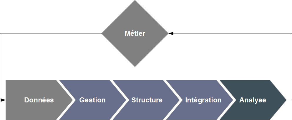 Processus de mise en valeur de l'information : analyse des données.