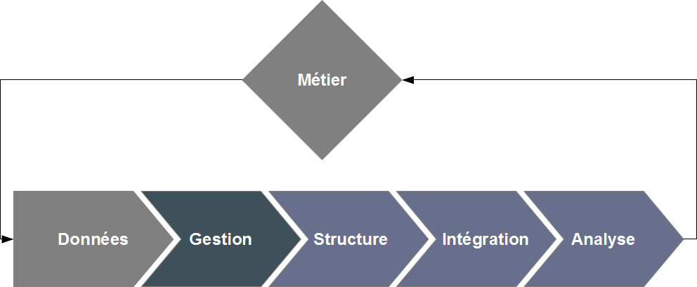 Domaines d'expertise